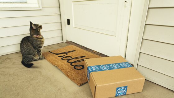 A cat sitting next to a shipping package by the front door | © Unsplash.com