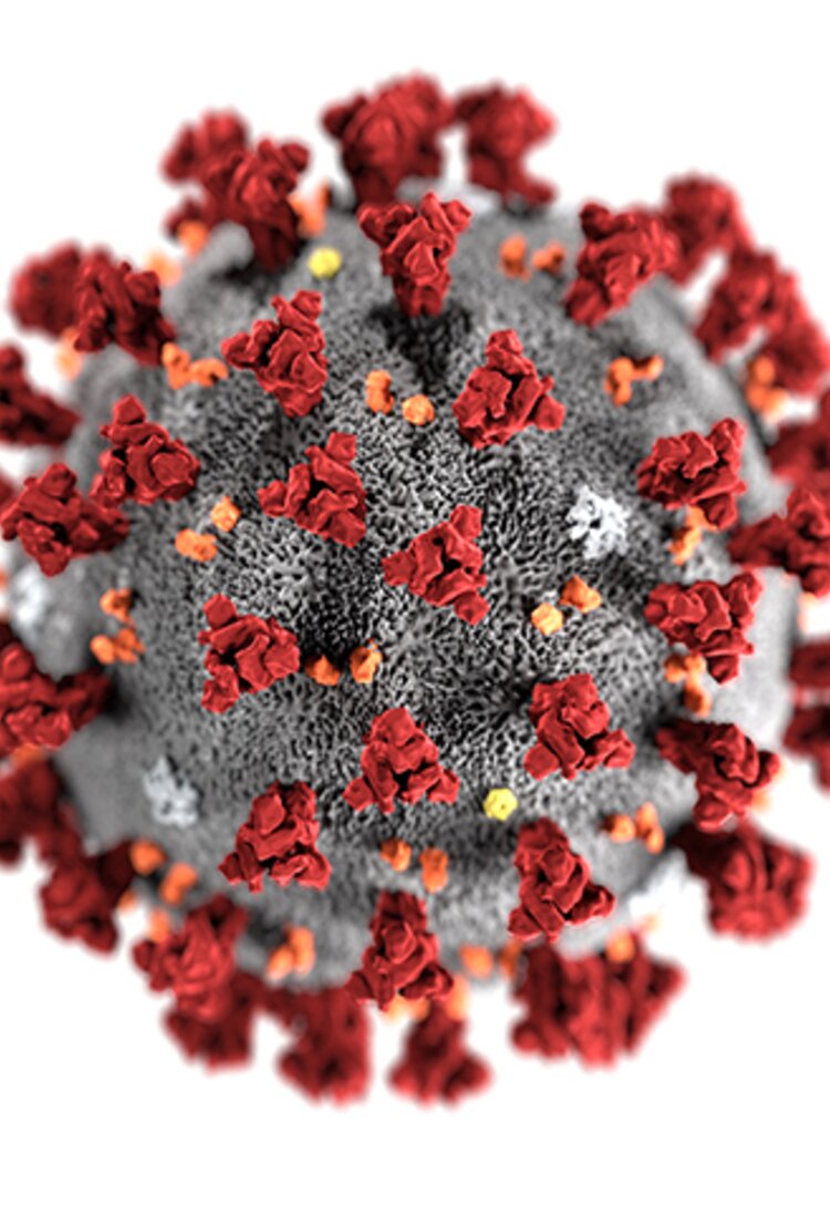 Covid 19 Virus  | © ILO