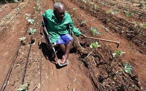 Farmer with disability  | © Denish Ochieng/ Standard Newspaper